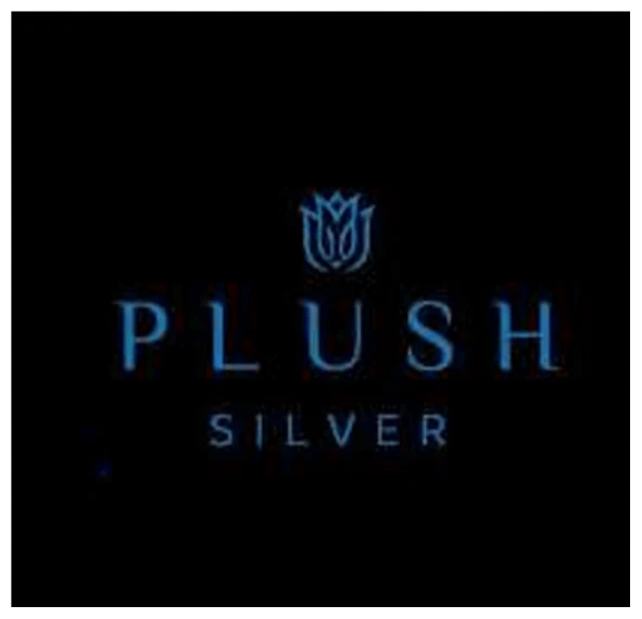 Plush Silver
